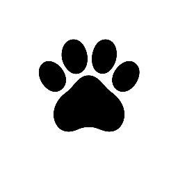 Dog Sitter Orvieto
